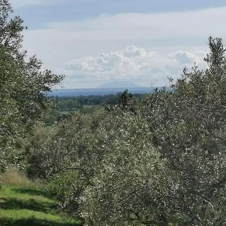 Avec Piscine Proche De La *